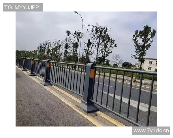 交通护栏在城市道路安全中的重要作用与设计优化研究